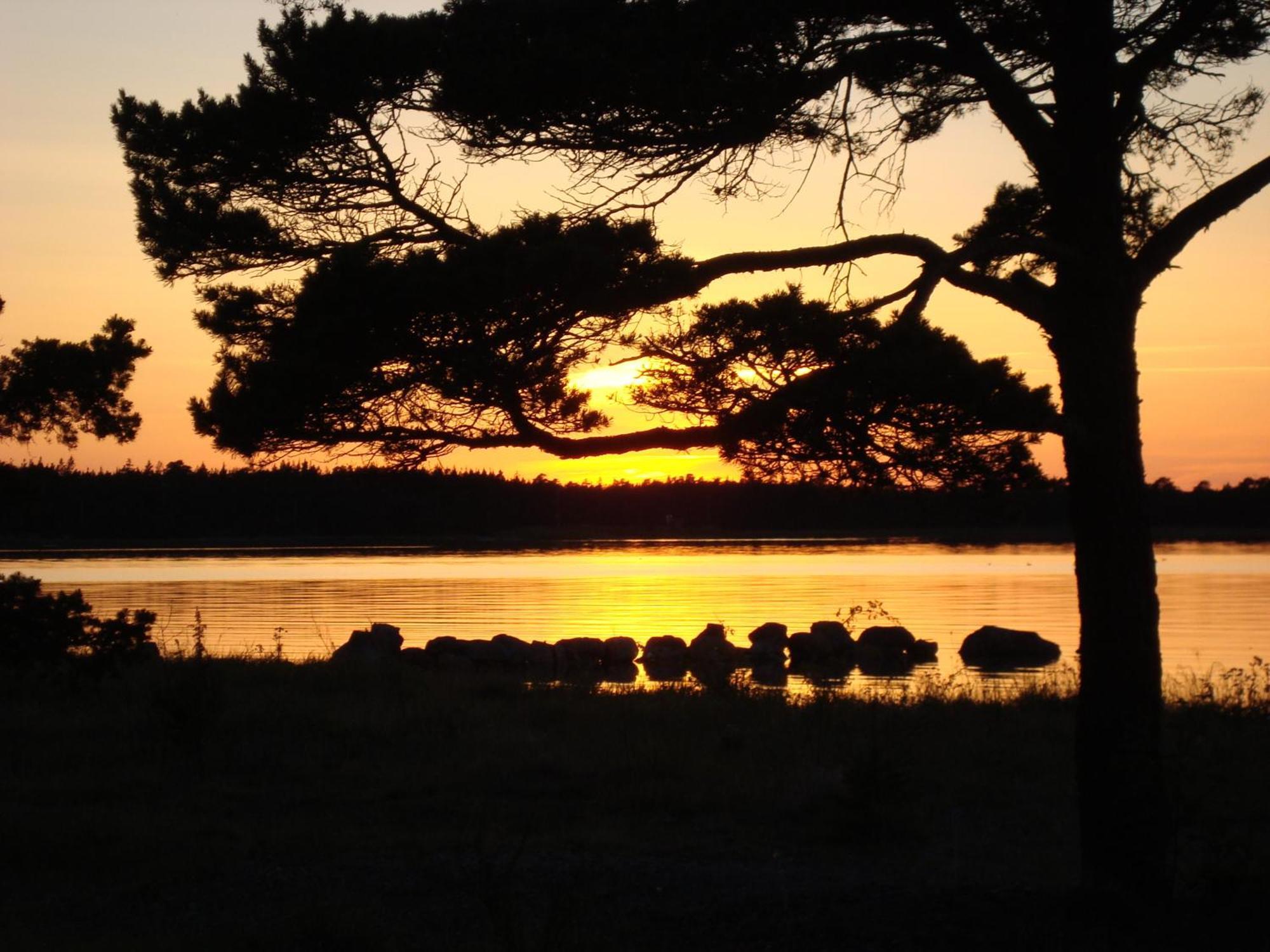 Gotlands Idrottscenter Vandrarhem Faroesund Номер фото